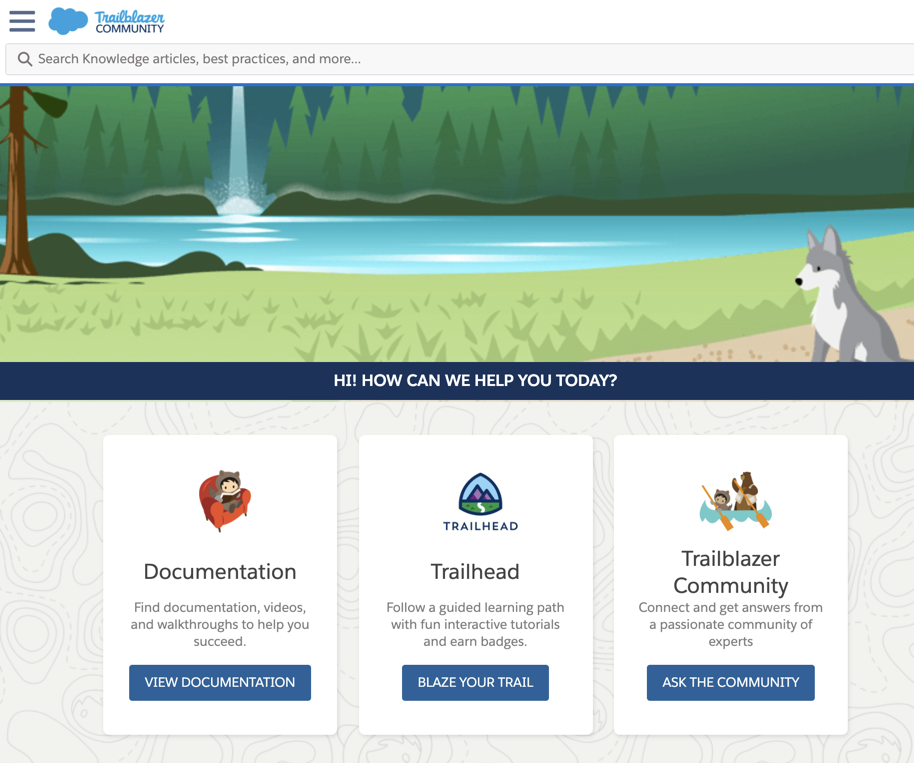 Salesforce knowledge base examples