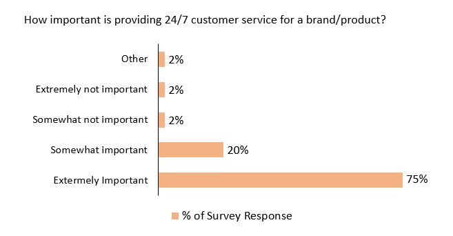 importance of 24/7 customer service for a brand