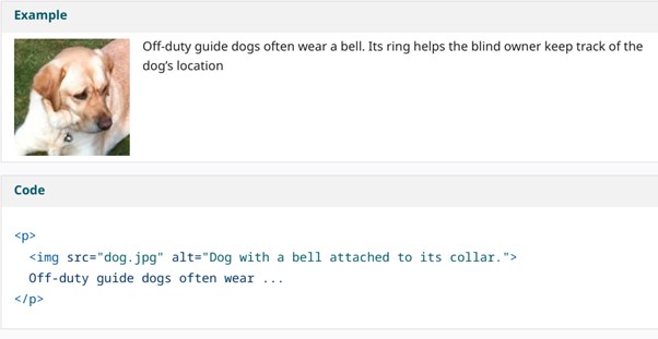 ALT text in Image for Users with Visual Impairments