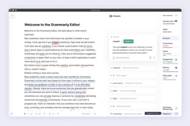 Grammarly for business
