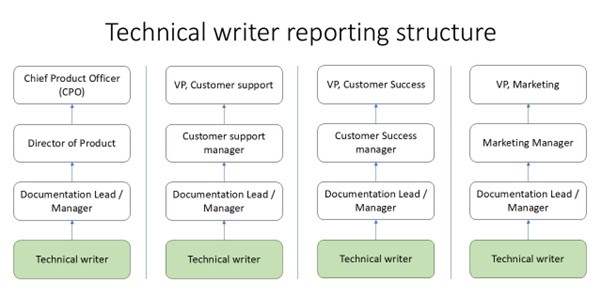 Technical writers reporting structure